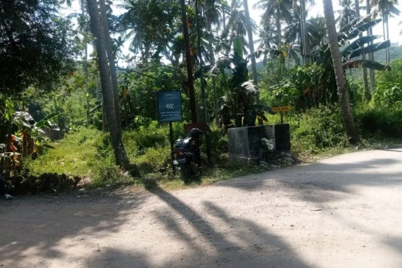villa sayuti